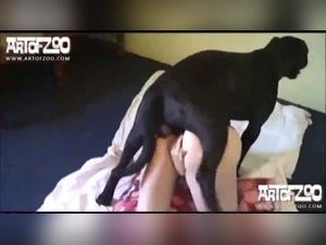 Kerstin Fucked by Cane Corso Dog