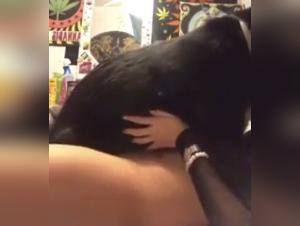 Bestiality Sex Video: Woman and Dog