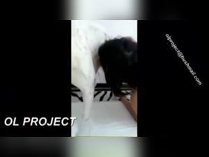 Casandra and her canine companion: an intense zoophilia video
