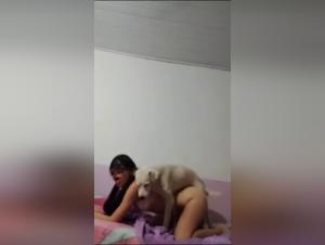 Bestiality: A woman and her dog in a shocking scene