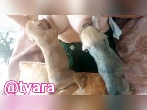 Oppai Hunter 2: A bestial and intense encounter