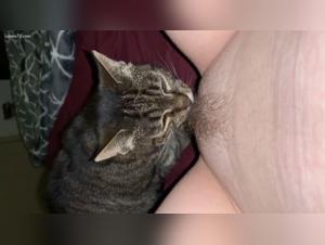 Forbidden Meeting: Woman and Dog