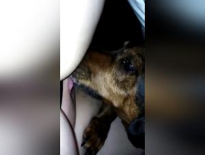 Woman and her dog: a beastly and exciting video