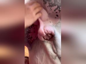 Girls and horses: a forbidden passion