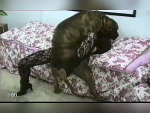 Breathtaking bestial sex videos