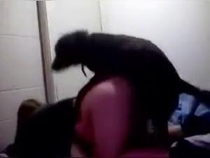 Bestiality: Teenage girl subjected to a dog
