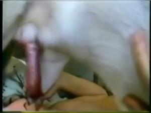 Woman and dog: a beastly encounter