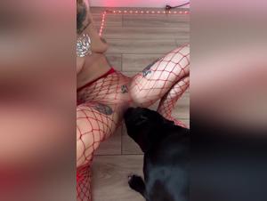 Desiderio Primitivo: Esplorazione Animale