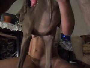 Salope suce son chien hardcore