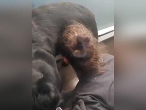 Beyond Boundaries: Animalistic Desires