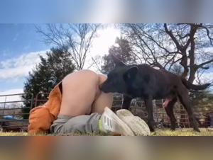 amateur girls dog sex collection