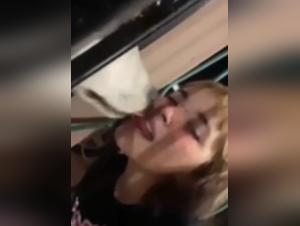 Tickzoo's Animal Sex: A Classic XXX Story