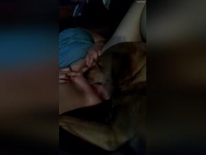 Dog and woman: a shocking intimate relationship