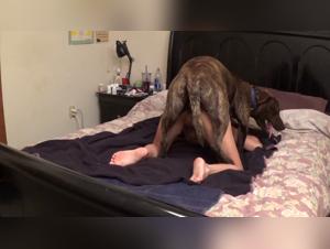 Dog Knots & Beastality: Extreme Sex Tapes
