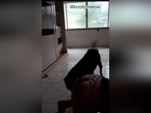 Orientale Bestial Action: Hund fickt