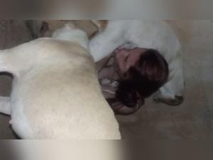 Bestiality: a Brazilian woman and her dog