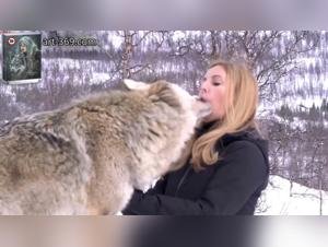 forbidden explorations: bestiality at pornic zoo