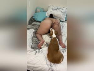 Hot Dogs and Babes in Extreme Porn Videos