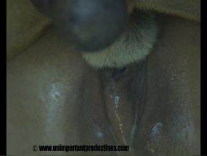 Woman and dog in an intense bestial relationship