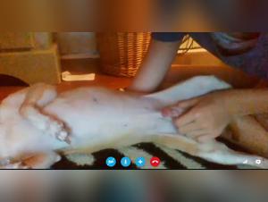 Unveiling Extreme Animal Sex Videos