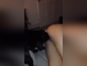 Bestial and exciting encounter