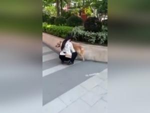 Outdoor Bestiality: Breathtaking Animal Sex Videos