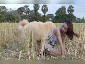 Asian Woman and Dog: A Shocking Encounter