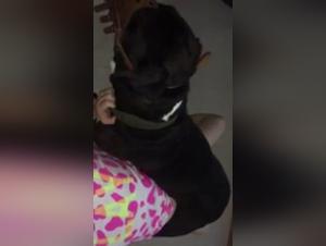 Bestiality Video: A Woman and Her Four-Legged Best Friend