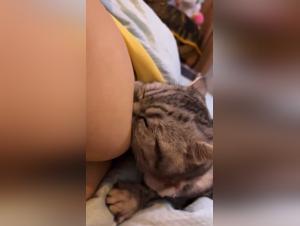 intimate moment: dog fuck and zoofilia tube