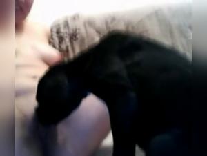 Bestiality Sex Video: An Intense Experience with a Dog