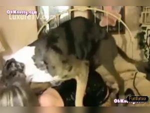 Bestiality sex videos with dogs and amateur mistresses