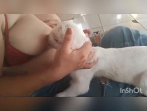 la leche del perro: deseos prohibidos y pasión salvaje