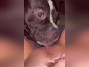 Bestiality: He can't hold back