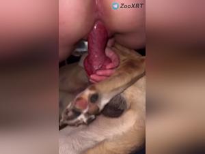 la salope et son chien dans l'acte fou