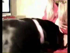 Video of Sex with a Dog