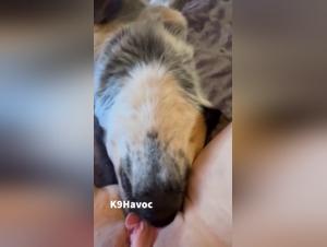 The Zoo Fucker's Girlfriend is a Pooch Licker