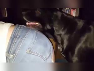 Forbidden Experience: Sex with a Dog