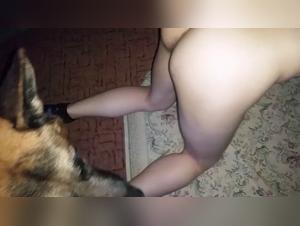 woman in heat and dog