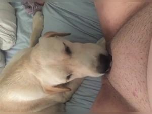 dog XXX :  baise animale sauvage