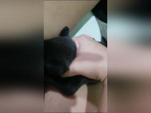 Bestialitat-Sexvideo: eine Frau und ein Hund