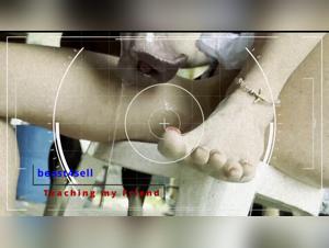 delving into vixen artofzoo