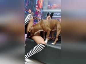 delving into the dark edges of desire