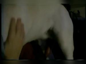 Woman and dog: a zoophilia video not to be missed