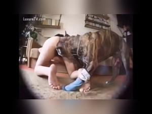 Pregnant Woman and Her Dog: A Bestial Encounter