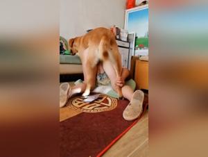 noeud mature et bestiale avec chien