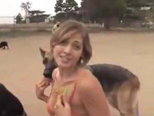 Videos of Sex with Dogs in a Dog Park