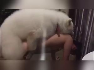 girl dog sex
