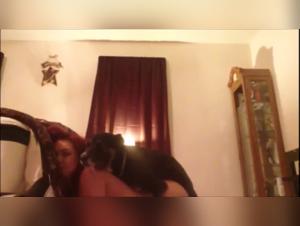 Una impactante experiencia bestial