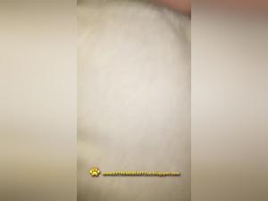 The Best Sex Videos with Dogs