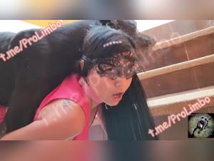 pink woman and canine lover